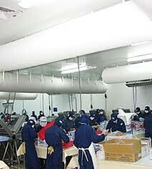 Hatchando (Việt Nam) 8