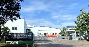 Hatchando (Việt Nam) 1