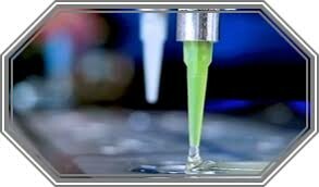 Synthetic Chemical Vina Coltd 2