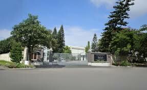 Mây Tre Hà Linh 14