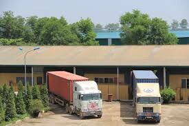 Mây Tre Hà Linh 13