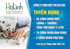 Mây Tre Hà Linh 11
