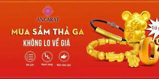 Ancarat Việt Nam 8