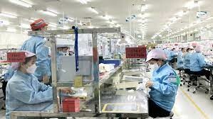 Si Flex Việt Nam 9