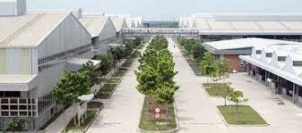 Can Sports Việt Nam 7