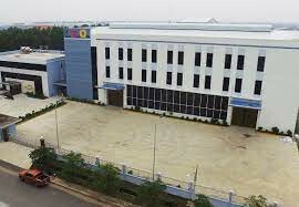 I.B.O International 7