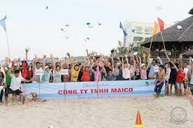 CÔNG TY TNHH MAICO GROUP 6