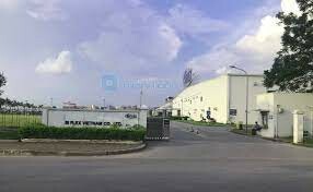 Si Flex Việt Nam 7