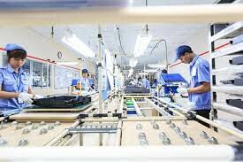 SẢN XUẤT VÀ THƯƠNG MẠI CÁT THÁI 3