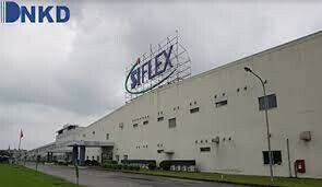Si Flex Việt Nam 6