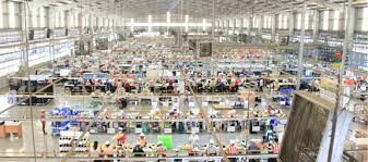 Can Sports Việt Nam 4