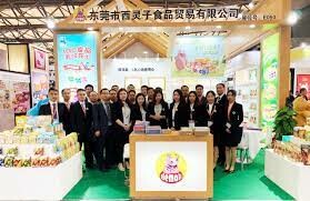 I.B.O International 4