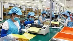 Si Flex Việt Nam 4