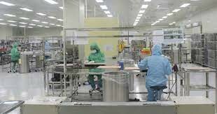 Si Flex Việt Nam 3