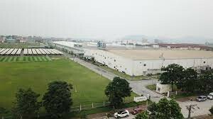 Si Flex Việt Nam 2