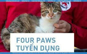 Four Paws 5