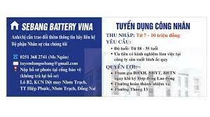 Sebang Battery Vina 4