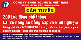 Young IL Việt Nam 8