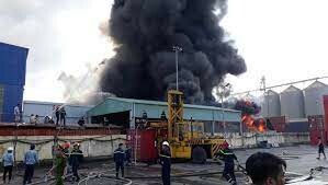 Công Ty TNHH Xuất Nhập Khẩu Phú Lâm 10