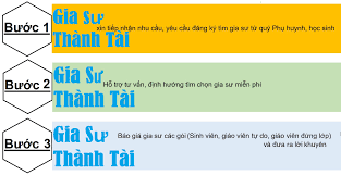 Gia sư Thành Tài 2