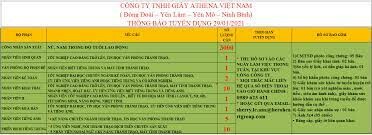 Giầy Athena Việt Nam 10