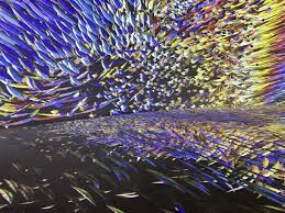 CÔNG TY CỔ PHẦN SỐNG PLATFORM 2