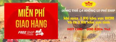 Đại Hoàng Thủy 6