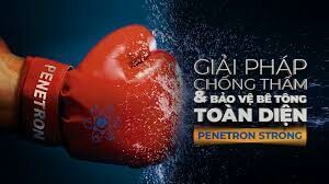 Penetron Việt Nam 1