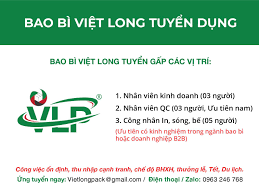 Bao Bì Việt Long 2