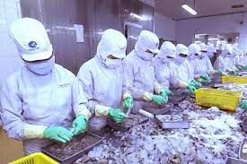 Takesho Việt Nam 3