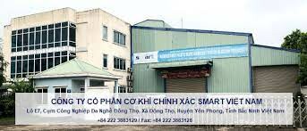 Smart Việt Nam 10
