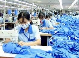 Đồ Bơi Thống Nhất 7