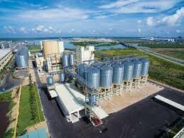 Công ty TNHH Interflour Việt Nam 7