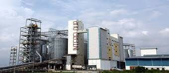 Công ty TNHH Interflour Việt Nam 2