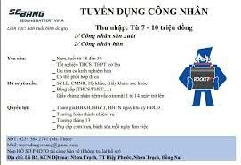 Sebang Battery Vina 7