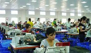 Quảng Việt Tiền Giang 2