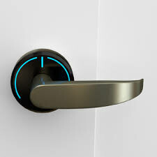 O.n.i.t.y Việt Nam 7