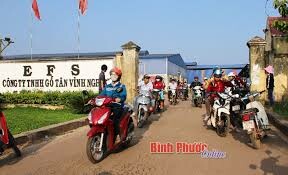 Gỗ Tân Vĩnh Nghĩa 6