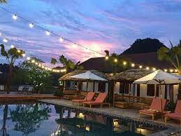 Banana Tree Hostel 1