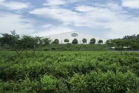 FGC Thương hiệu trà Cozy 9