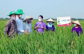 ĐTTM và Phát triển nông nghiệp ADI 7