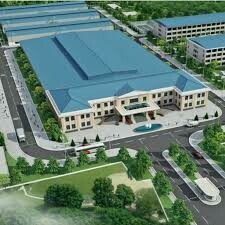 Glonics Việt Nam 8