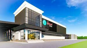 Frescol Tuna (Việt Nam) 10