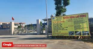 May Mặc Đặng Gia Phú 2