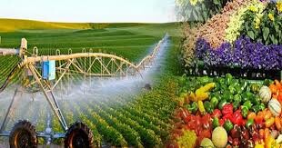 Xây Dựng Nông Nghiệp Việt Nam 3