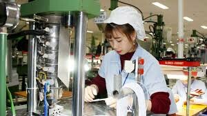 Glonics Việt Nam 2