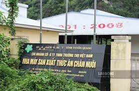 Việt Trường Thọ 6