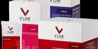 Wise Corridor Việt Nam 9