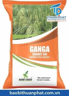 Bao Bì Thuận Phát 3