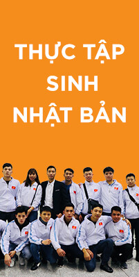 Nhân Lực Quốc Tế Việt 5